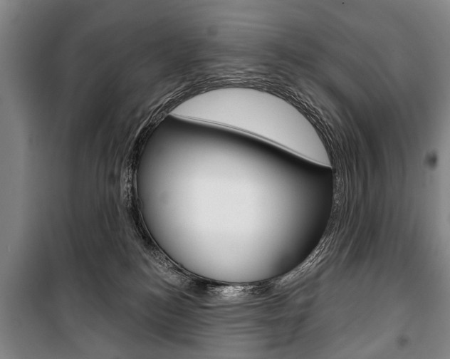 X0000101200184200806270838