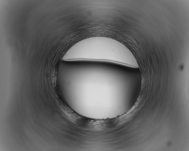 X0000101200186200806270838