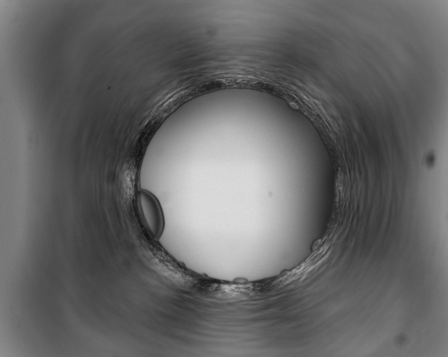 X0000101200188200806270838