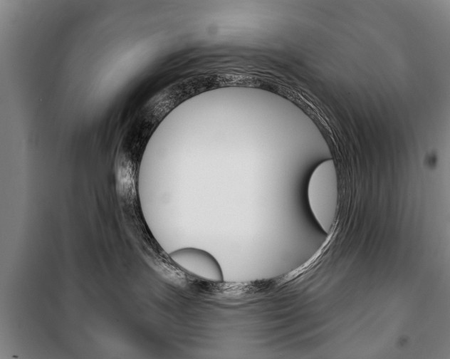X0000101200191200806270838