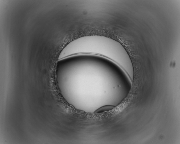 X0000101200192200806270838