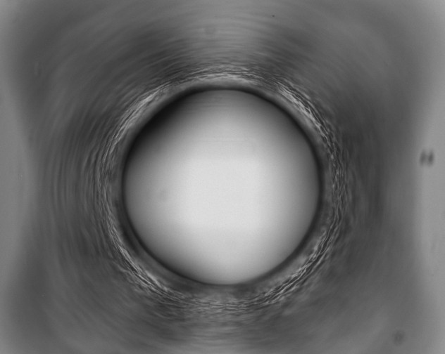 X0000101200193200806270838