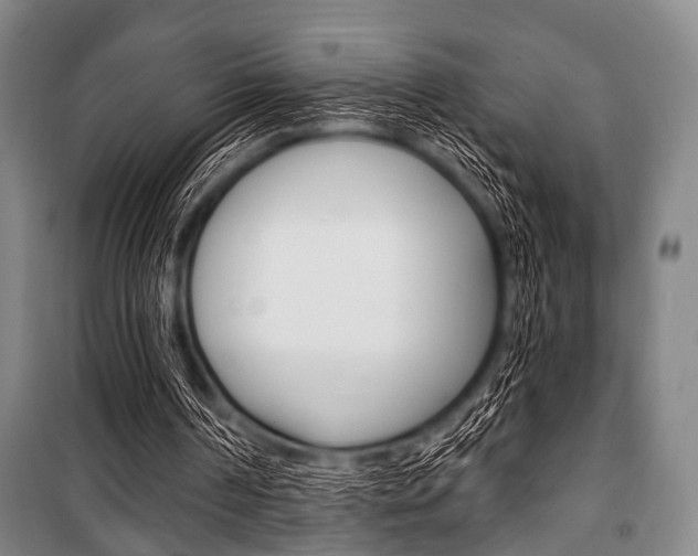 X0000101200194200806270838
