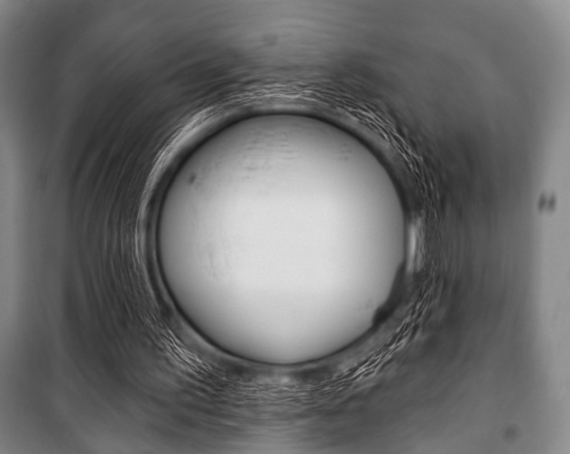 X0000101200195200806270838