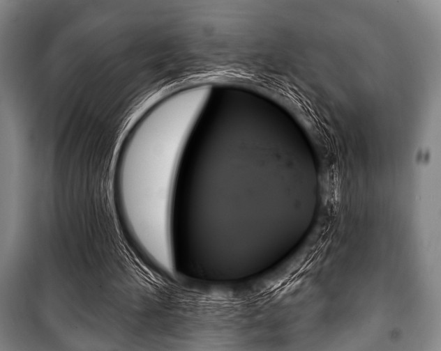 X0000101200196200806270838