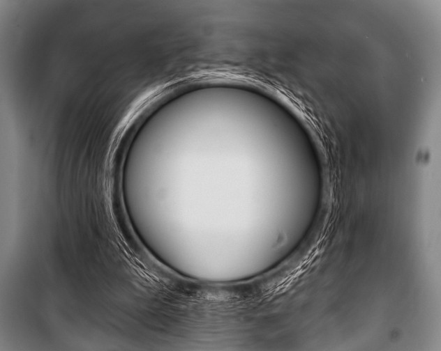 X0000101200199200806270837