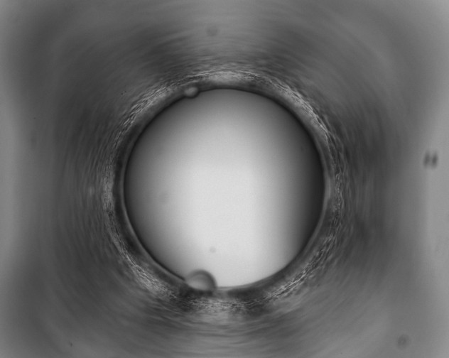 X0000101200201200806270837