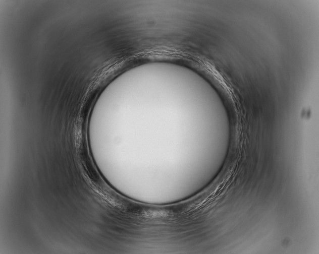 X0000101200202200806270837