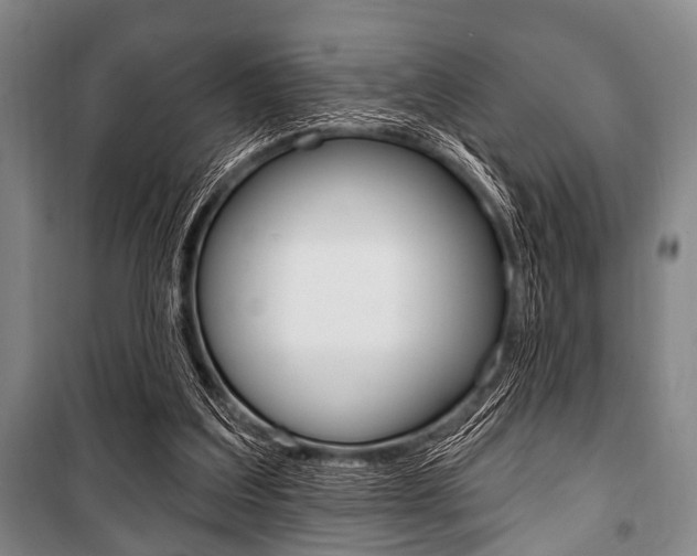 X0000101200203200806270837