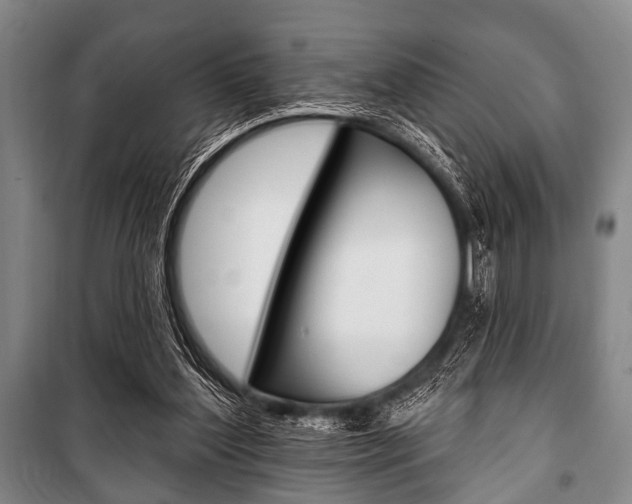 X0000101200204200806270837