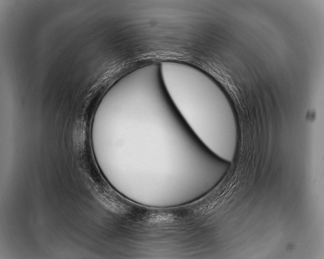 X0000101200206200806270837
