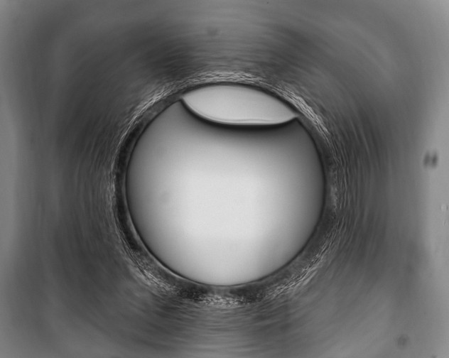 X0000101200207200806270837