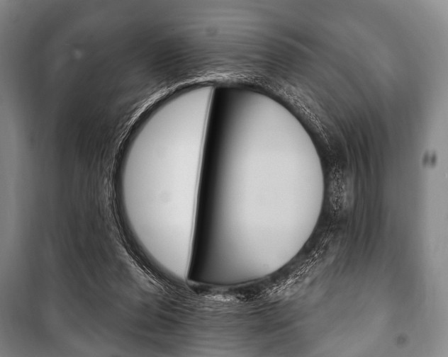 X0000101200208200806270837