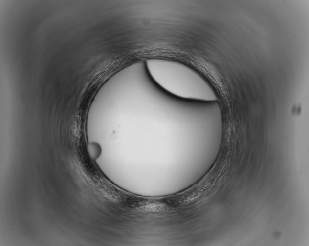 X0000101200210200806270837