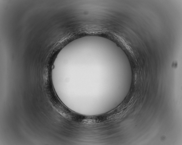 X0000101200211200806270837