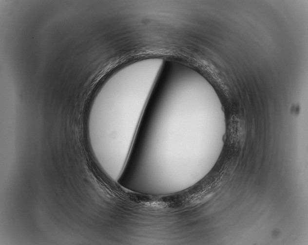 X0000101200212200806270837