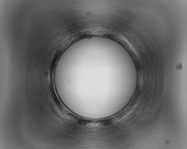 X0000101200213200806270837