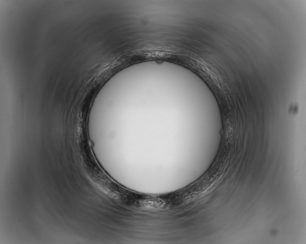 X0000101200215200806270837