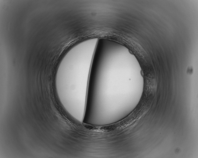X0000101200216200806270837