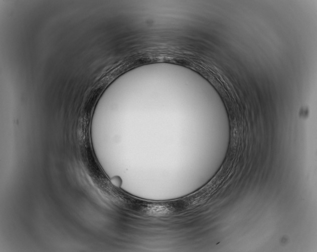 X0000101200218200806270837