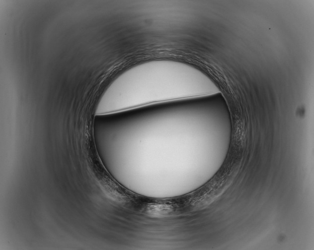 X0000101200220200806270837