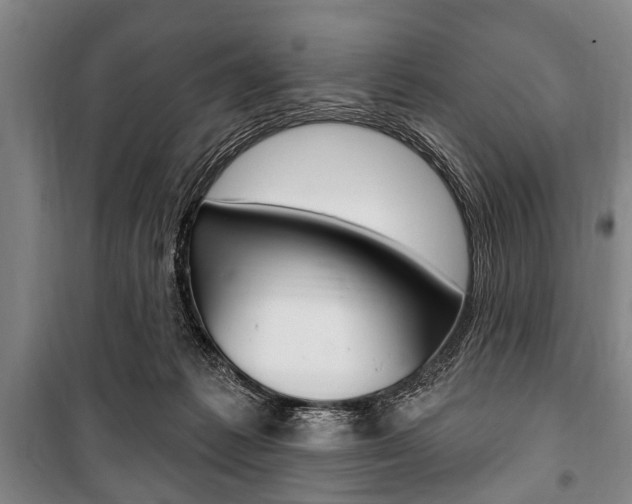 X0000101200221200806270837