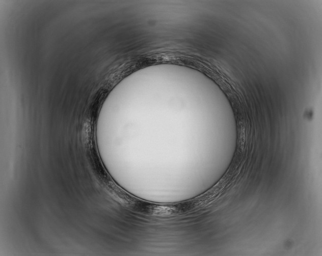 X0000101200222200806270837