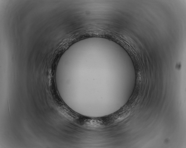 X0000101200223200806270837