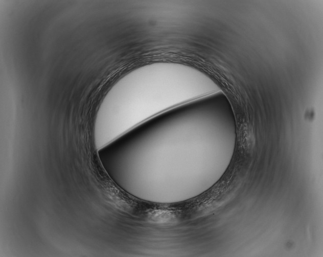 X0000101200224200806270837