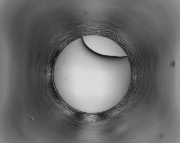 X0000101200226200806270837