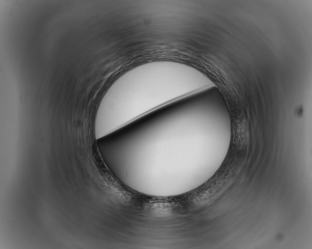 X0000101200228200806270837