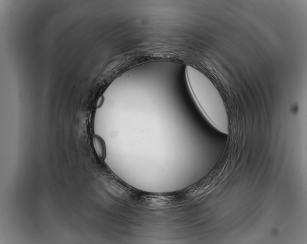 X0000101200229200806270837