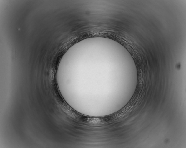 X0000101200230200806270837
