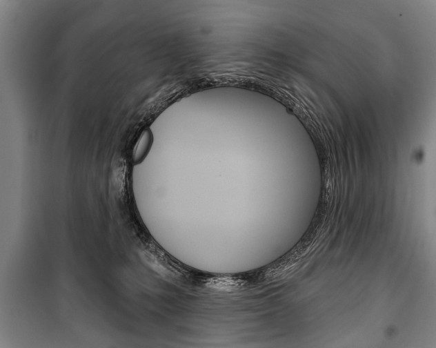 X0000101200231200806270837