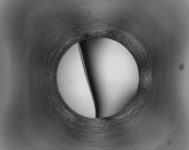 X0000101200232200806270837