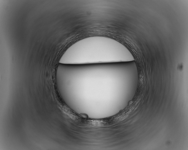 X0000101200233200806270837