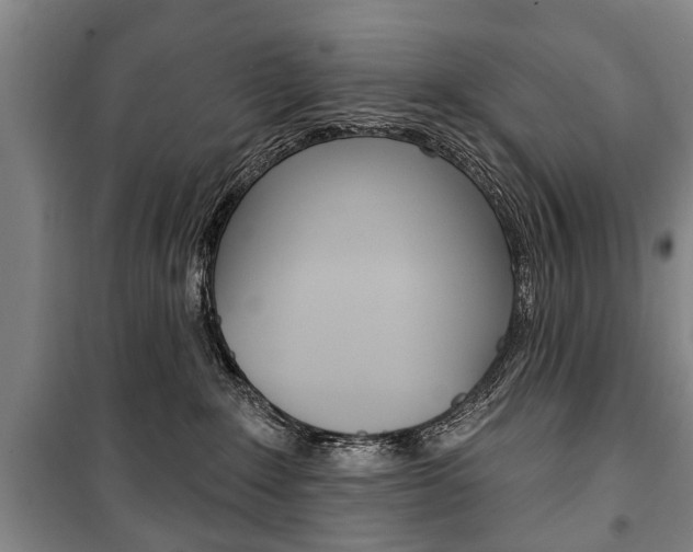 X0000101200235200806270837