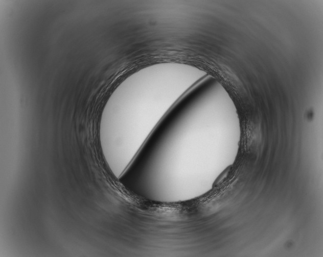 X0000101200236200806270837