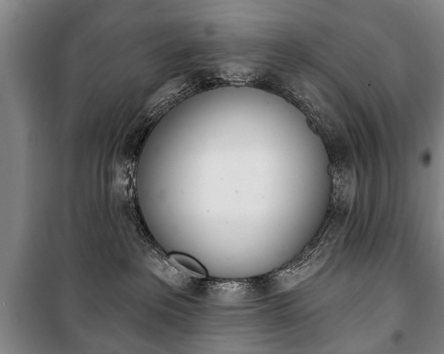 X0000101200237200806270837