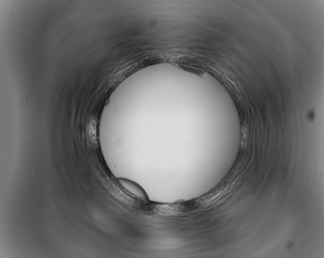 X0000101200238200806270837