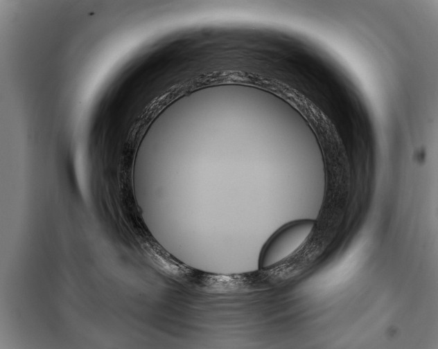 X0000101200239200806270837