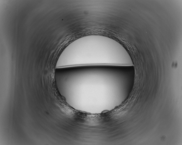 X0000101200240200806270837