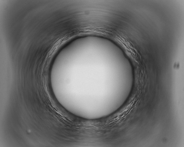 X0000101200241200806270836