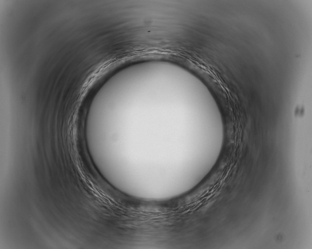 X0000101200242200806270836