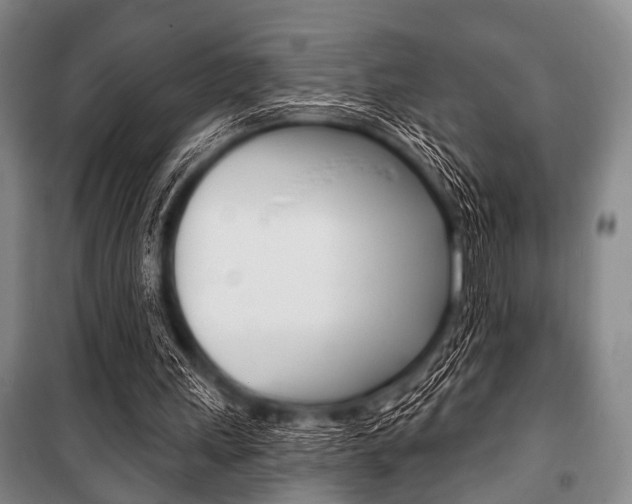 X0000101200243200806270836