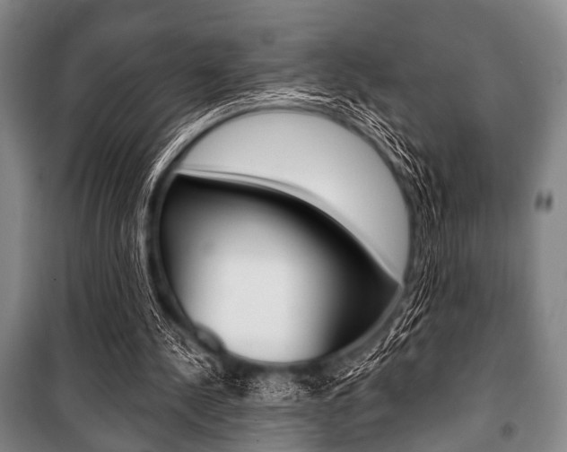 X0000101200244200806270836