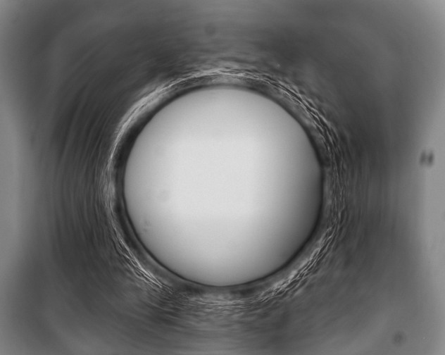 X0000101200245200806270836