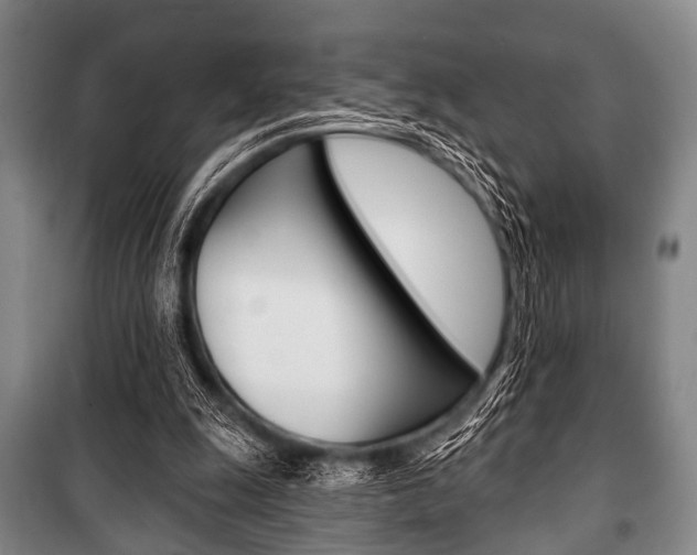 X0000101200247200806270836