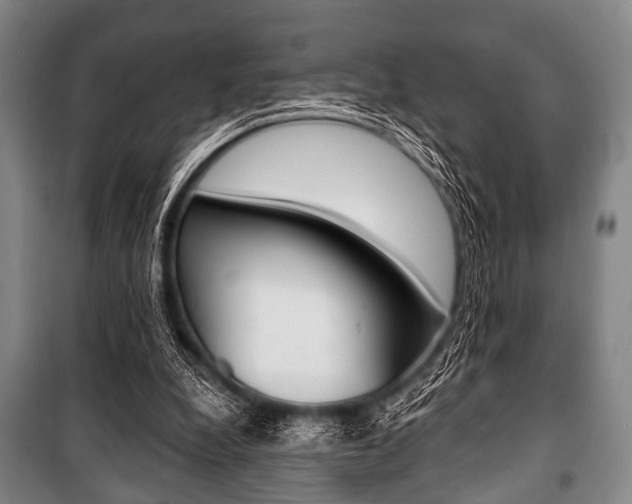 X0000101200248200806270836