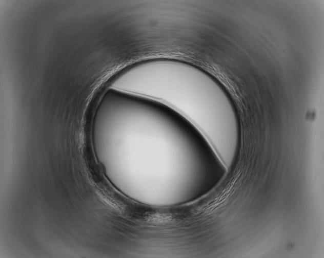 X0000101200252200806270836